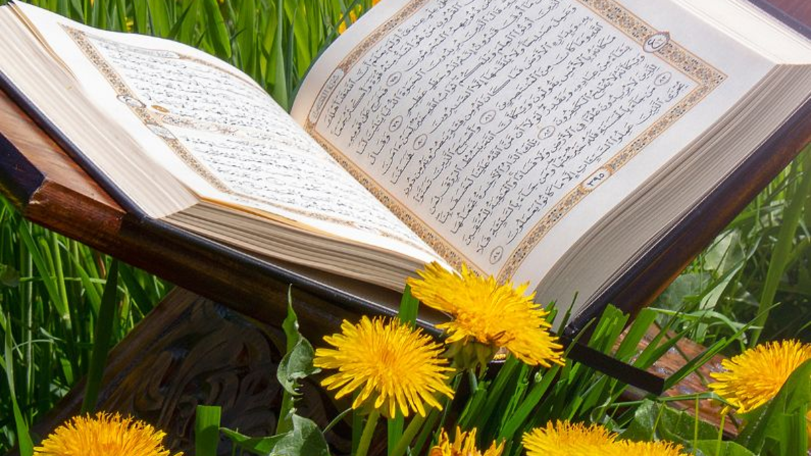 waqf rules in quran