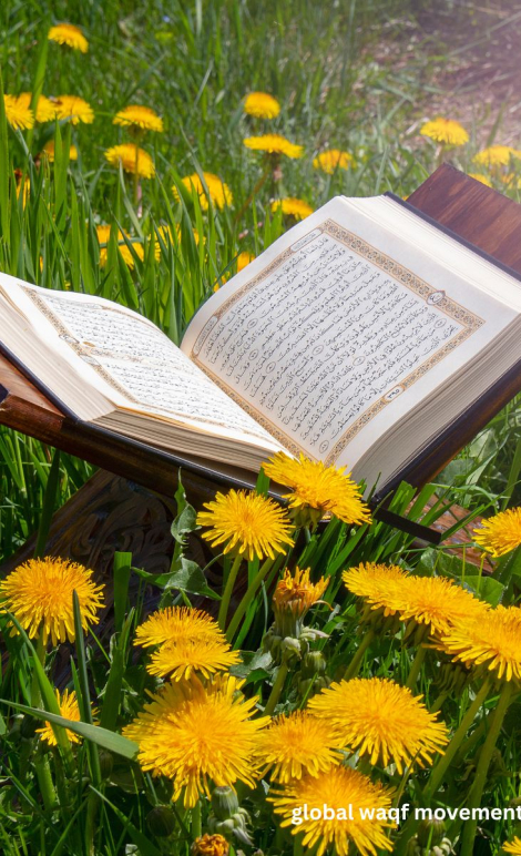 waqf rules in quran